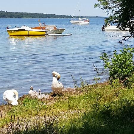 Ferienwohnung Am Schweriner See Raben Steinfeld Exterior foto